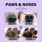 Dog Nose and Paw Balm Pet Feet Moisturizer Anti-dry Cream Pets - Bilde 4