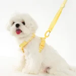 Adjustable Dog Harness Collar Leash Set Macarone Color - Bilde 3