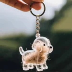 Clear Puppy Hair Memorial Keepsake Capsule Pet's Dog - Bilde 6