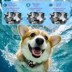 Camouflage Automatic Anti Barking Dog Collar - Bilde 2