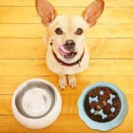 Feeder Cat Bowl Anti-choking Plastic Dog Puzzle Food Bow - Bilde 6