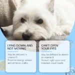 Multivitamin Supplement Tablets for Dogs and Cats - Bilde 2